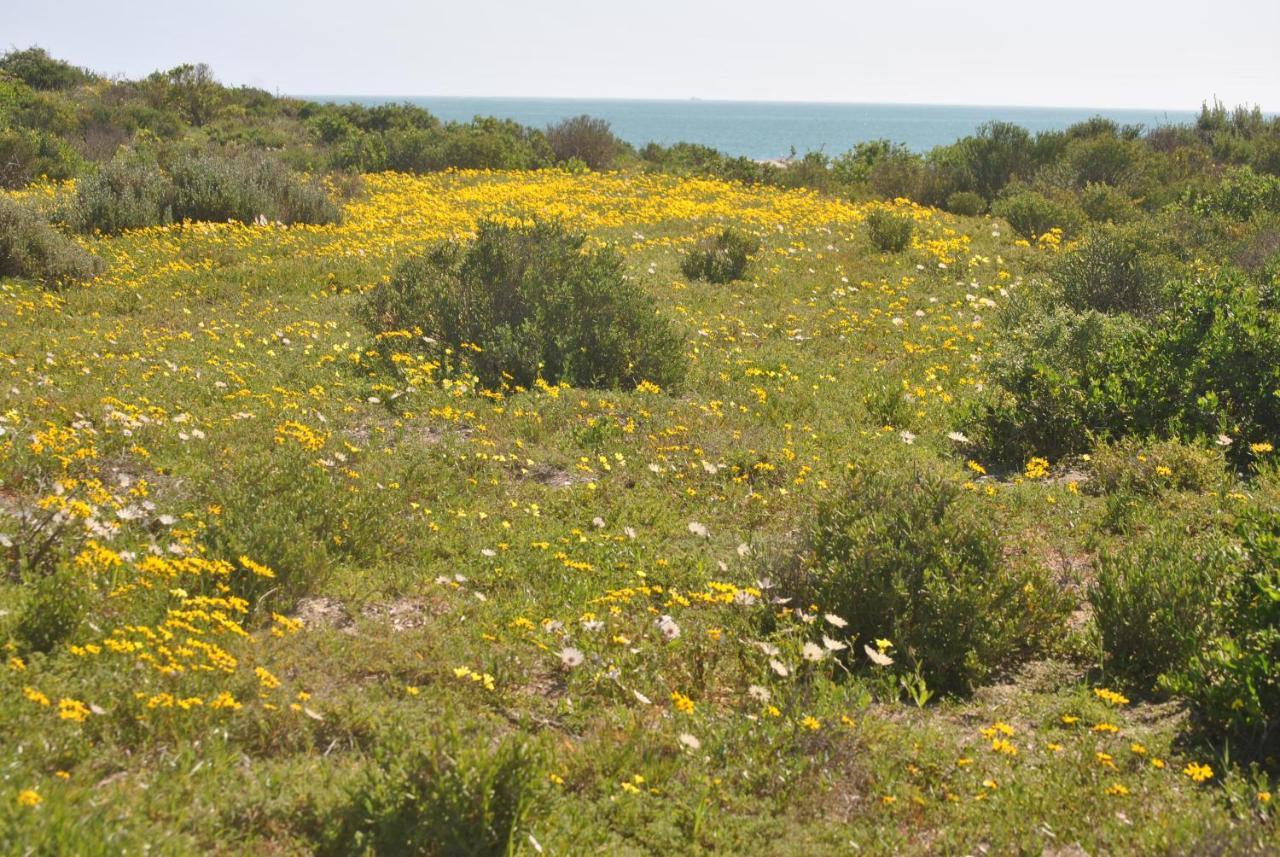 Stay At Bokkoms In Paternoster Self Catering Accommodation エクステリア 写真