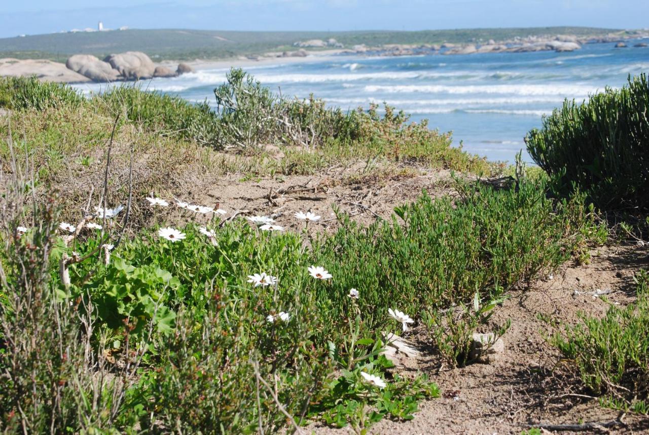 Stay At Bokkoms In Paternoster Self Catering Accommodation エクステリア 写真